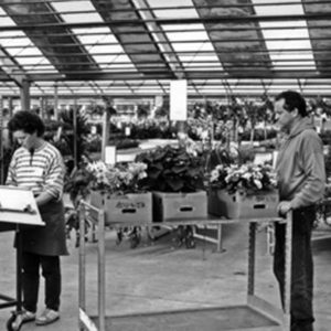1993
Eröffnung des Abholmarktes für den Fachhandel. Einstellung des Privatverkaufs.